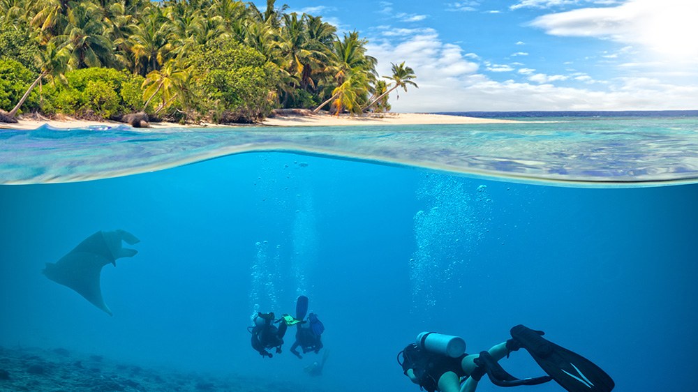Tropische Unterwasserlandschaft mit Tauchern und Mantarochen als Motivation für souveränes Tauchen im Urlaub.